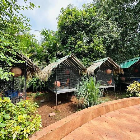 Elitehotels And Resorts Pvt Ltd アリバグ エクステリア 写真